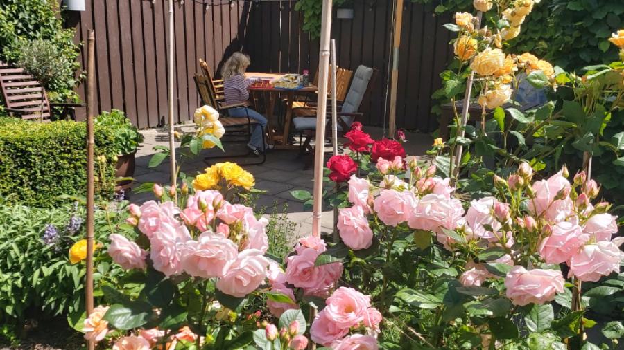 Grillhörnan sommaren 2025